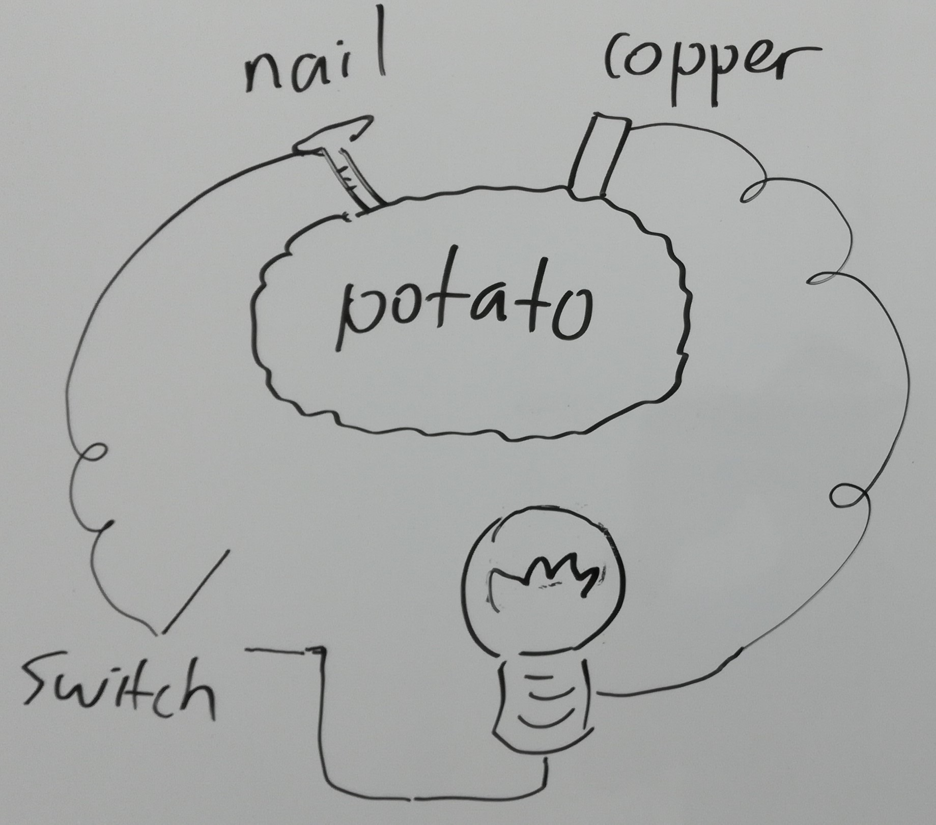Schematic of a potato battery in Science Tuition practical hands-on