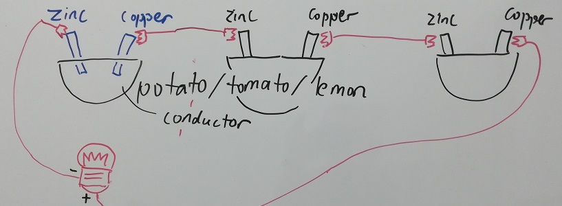Schematic of a battery using fruits/vegetables in Science Tuition practical hands-on