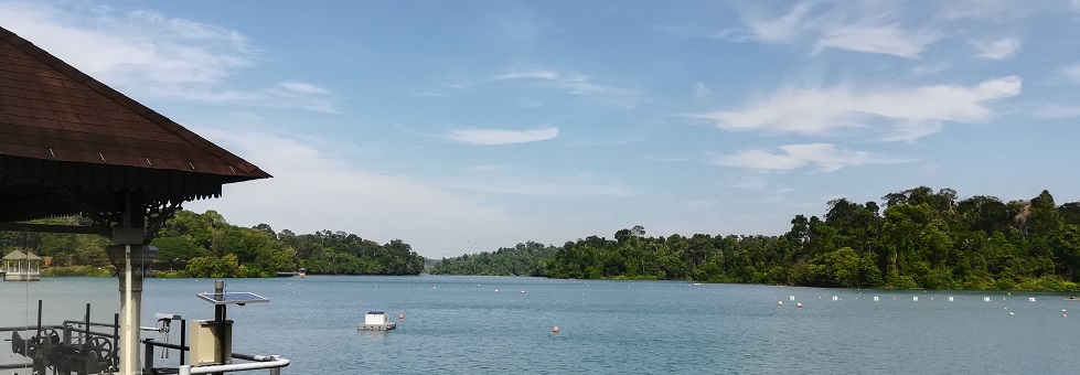 Training RGS Teachers for their School's Learning Journey at MacRitchie Reservoir