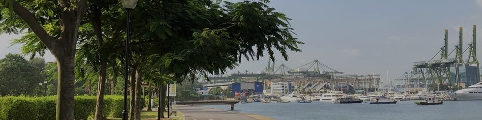 Biodiversity Survey Field Trip for Upper Primary Students: A natural park in Singapore